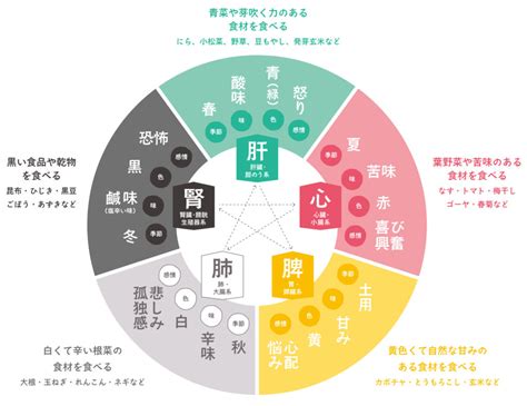 五行 体の部位|漢方の物差し③「五行の物差し」カラダを大きく5つ。